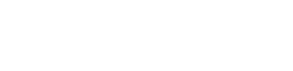 Logo Schwedische Schokolade